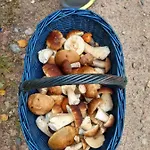U Janiny Nyaraló