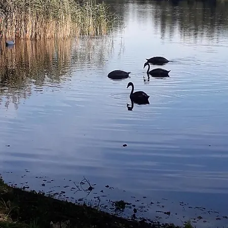 U Janiny Dom wakacyjny Czaplinek