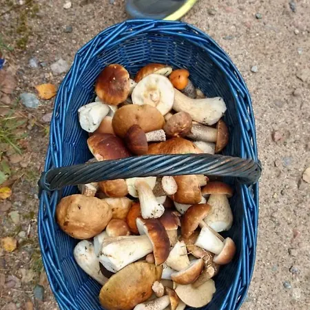 U Janiny Semesterbostad