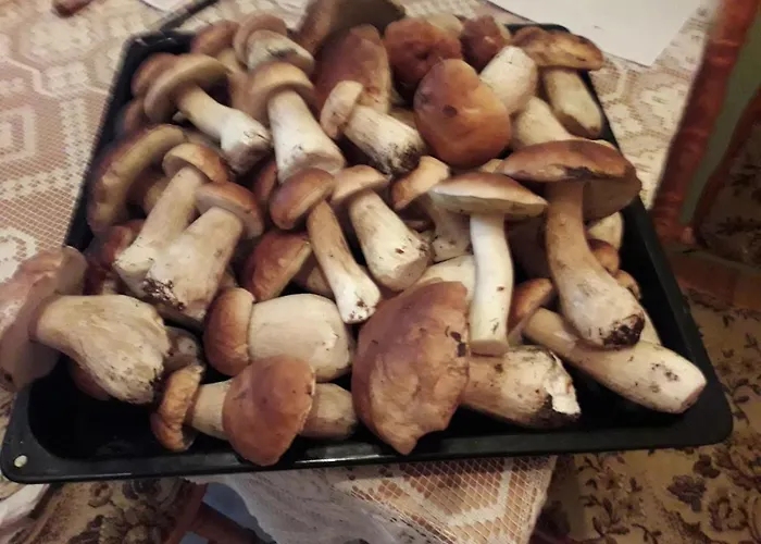 U Janiny Сasa de vacaciones *